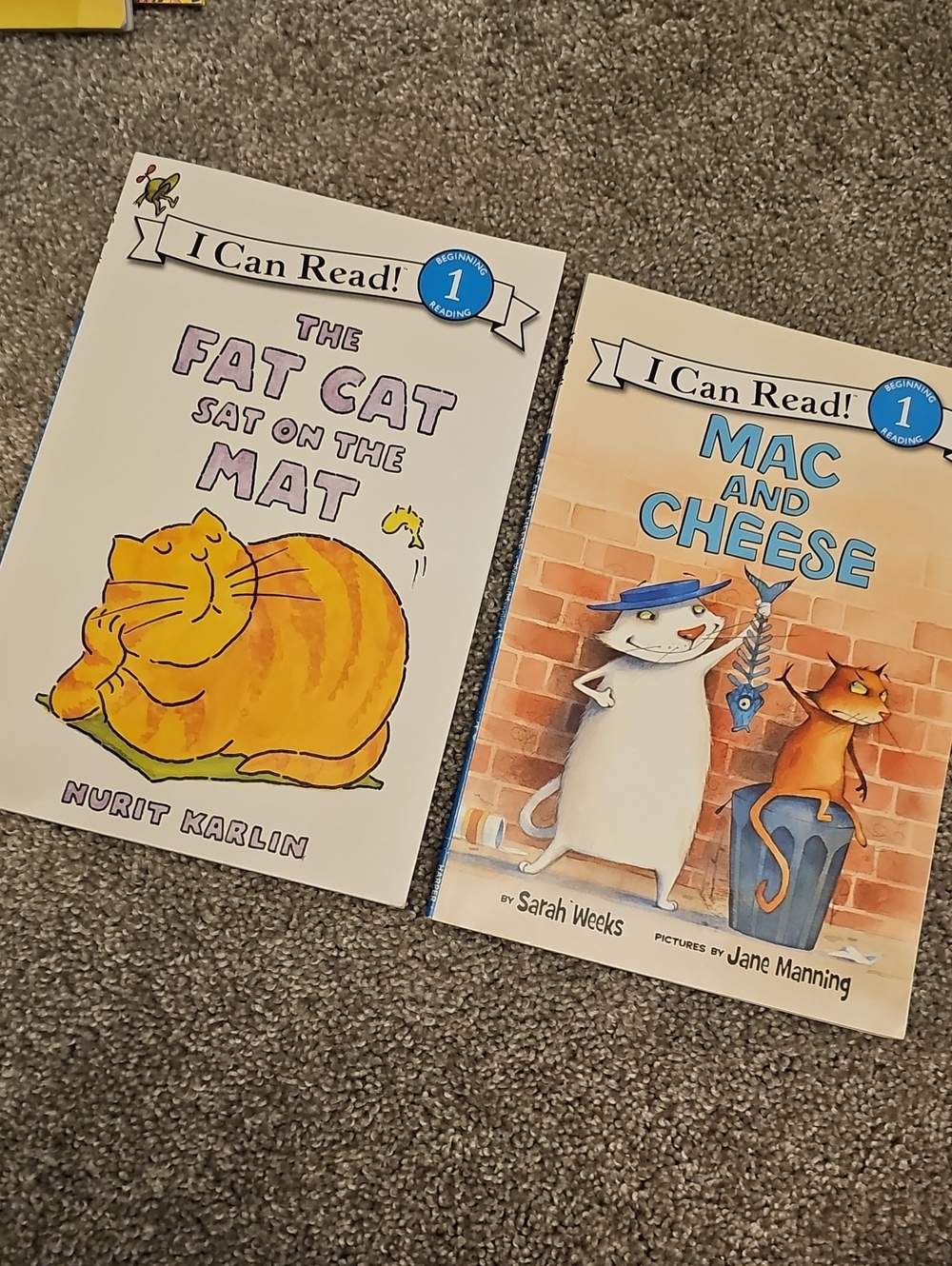 K6🔹️The Fat Cat Sat on the Mat & Mac And Cheese Books
